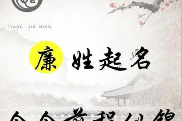 廉姓男孩名字大全-廉姓男孩起名字大全-廉姓名字大全姓名