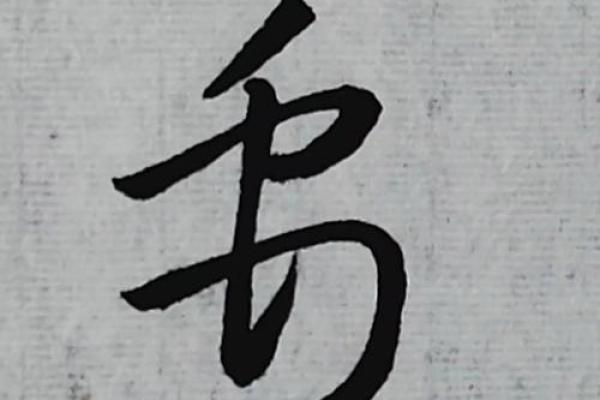 禹姓女孩名字大全-禹姓女孩起名字大全-禹姓名字大全姓名