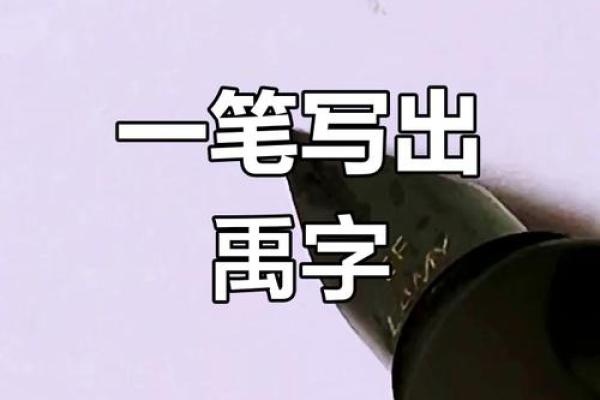 禹姓女孩名字大全-禹姓女孩起名字大全-禹姓名字大全姓名