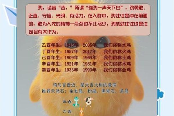 1月份出生的属鸡男孩起什么名字好姓名