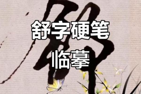舒姓男孩名字大全-舒姓男孩起名字大全-舒姓名字大全姓名