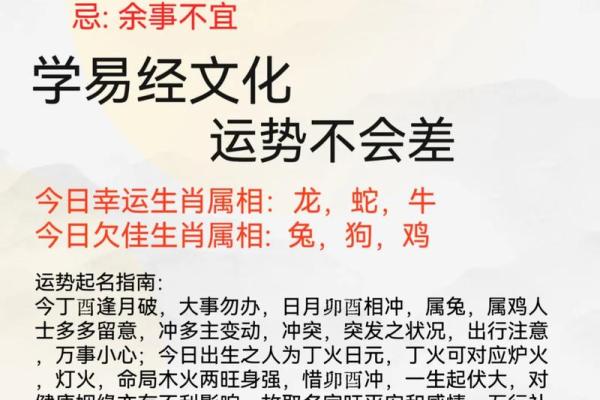 半夜出生的属鸡男孩如何起名字姓名