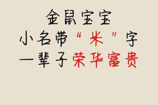 晚上9点出生的属鼠男孩好名推荐姓名