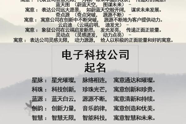 网络公司名字大全-名字大全姓名