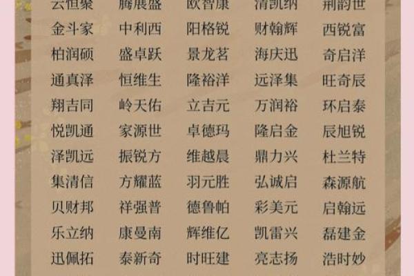 网络公司名字大全-名字大全姓名