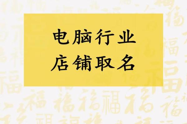 电脑公司名字大全-名字大全姓名