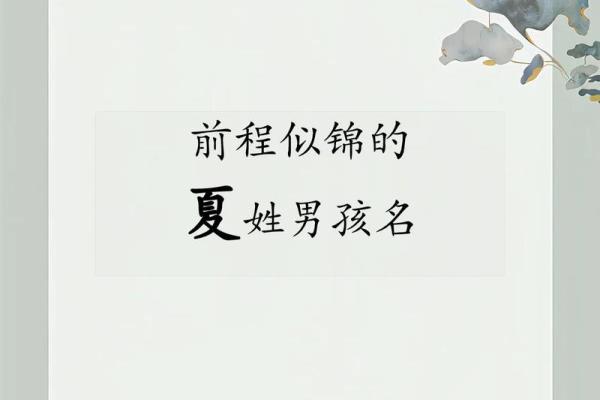 2019年4月12号子时出生的男孩如何起名姓名