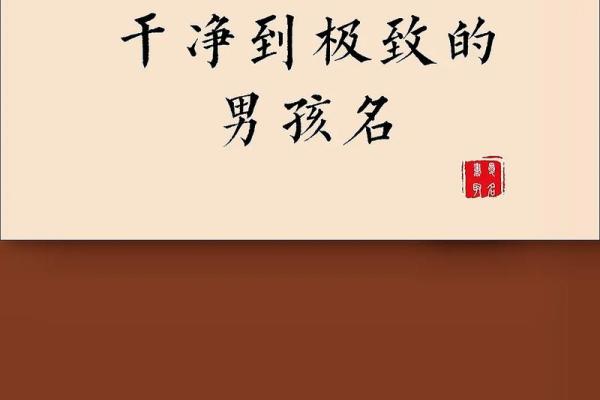 2019年3月25号辰时出生的男孩起名方法姓名