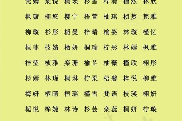 中午十二点出生的属猴男孩如何取名，适合什么字姓名