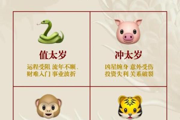 如何给属猪申时出生的男孩取个好名字姓名