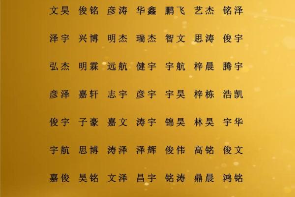 2019年5月27号寅时出生的男孩起名方法姓名