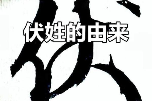 伏姓男孩名字大全-伏姓男孩起名字大全-伏姓名字大全姓名