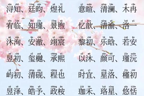 2019年6月12号丑时出生的男孩起名时要注意什么姓名