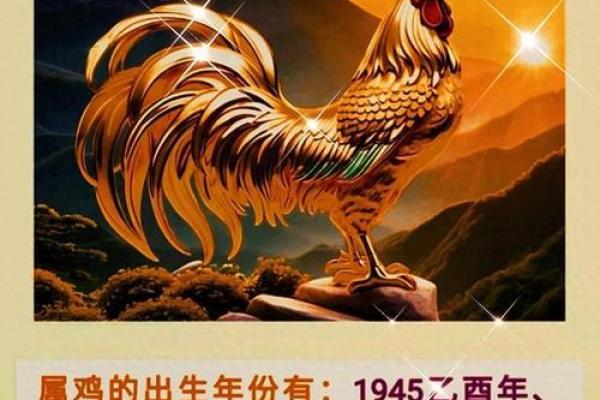怎么样给早上8点出生的属鸡男孩起名字好姓名