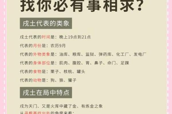 晚上九点出生的属狗男孩取什么名，适合什么字姓名