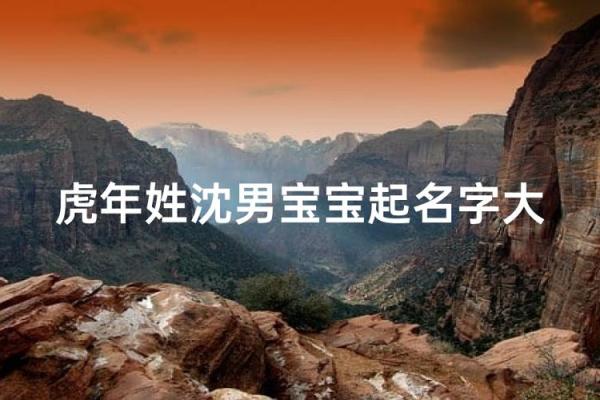 沈姓男孩名字大全-沈姓男孩起名字大全-沈姓名字大全姓名